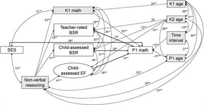 Accounting for the SES-Math Achievement Gap at School Entry: Unique Mediation Paths via Executive Functioning and Behavioral Self-Regulation